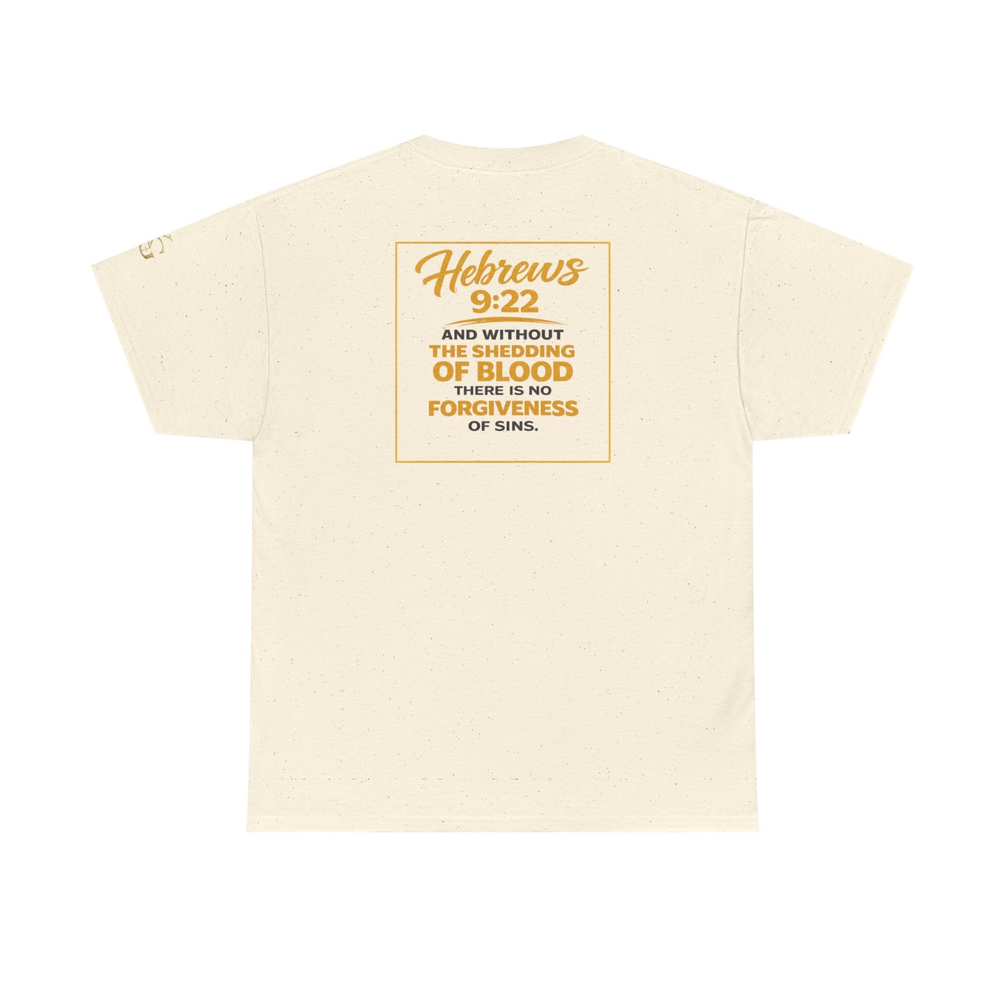 Christian T-Shirt — "Only the Blood of Jesus Can Save" with Hebrews 9:22 Scripture Tee