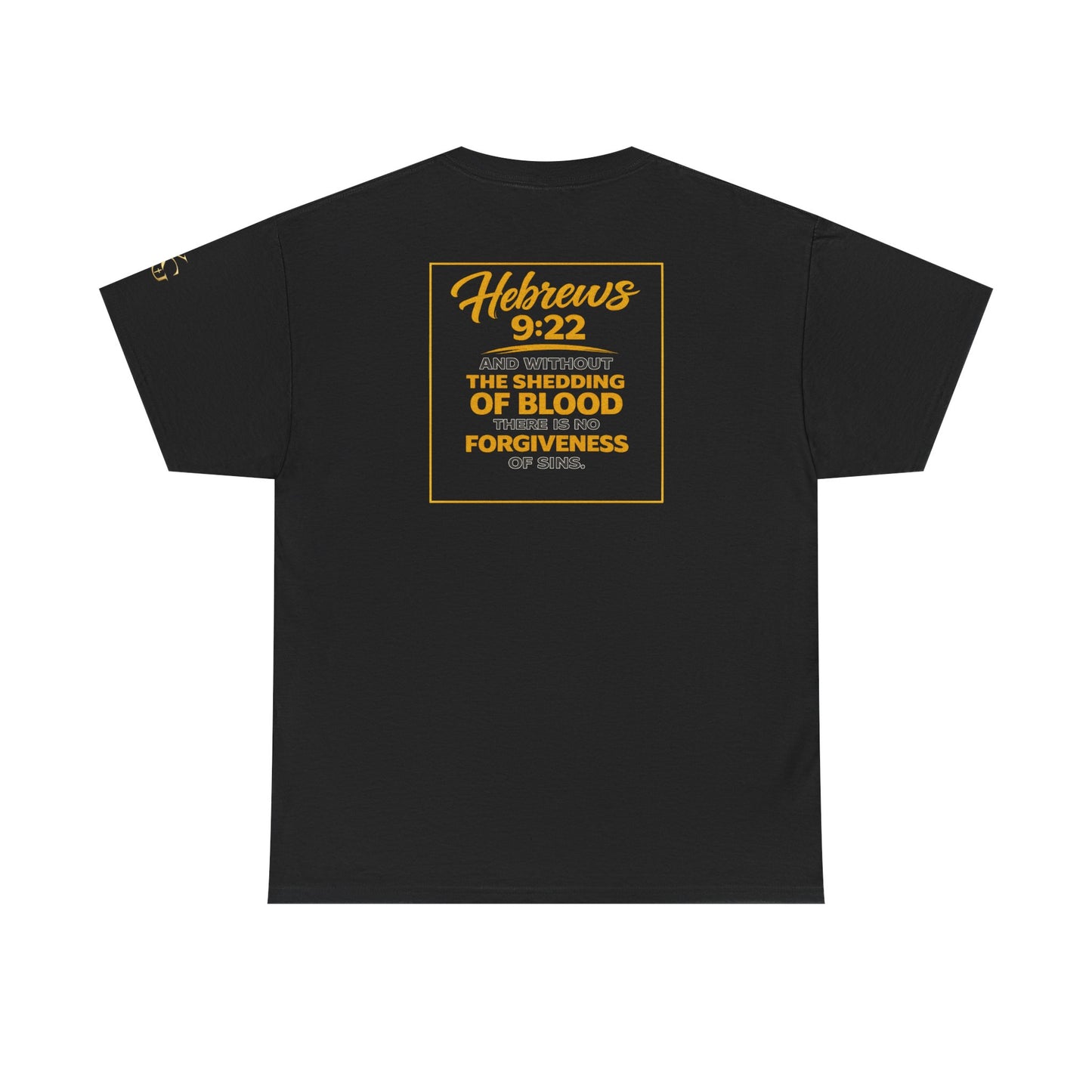 Christian T-Shirt — "Only the Blood of Jesus Can Save" with Hebrews 9:22 Scripture Tee