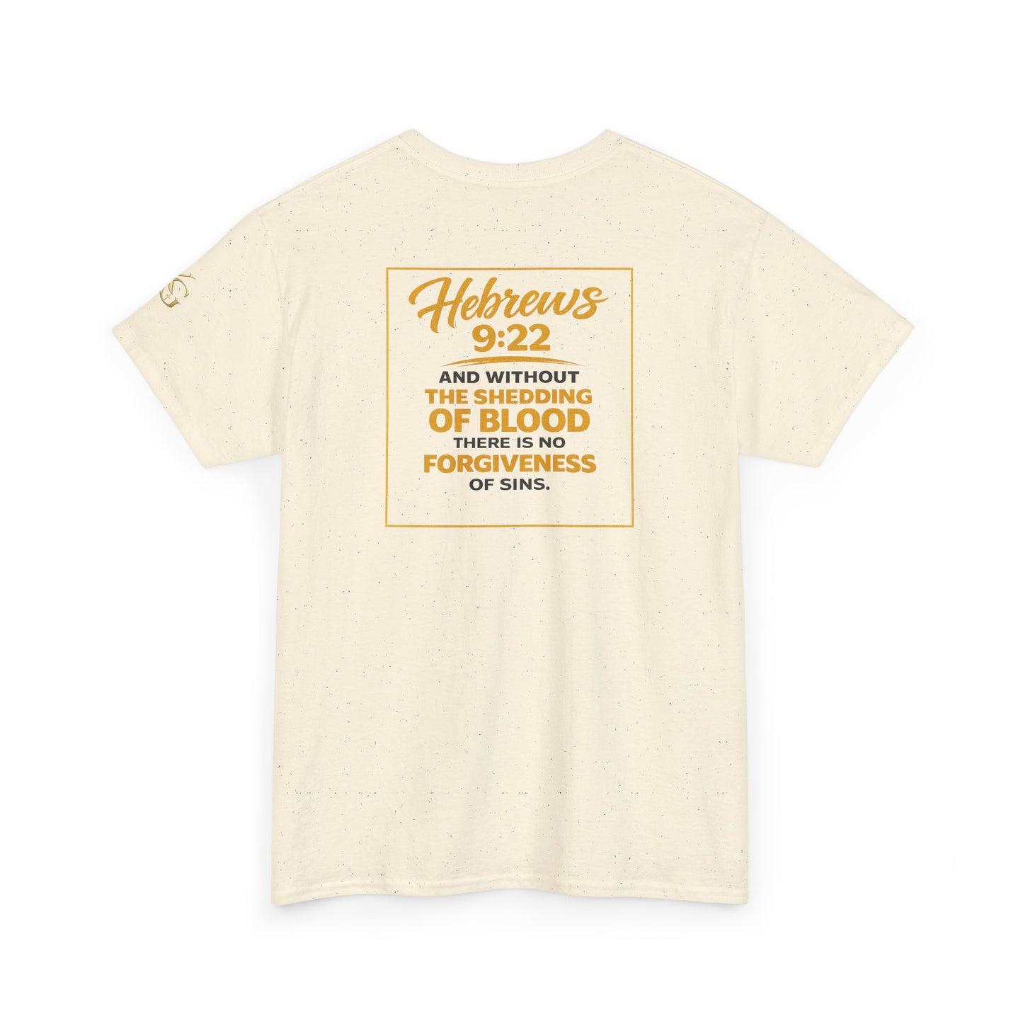 Christian T-Shirt — "Only the Blood of Jesus Can Save" with Hebrews 9:22 Scripture Tee