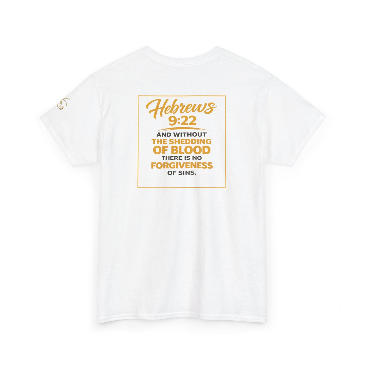 Christian T-Shirt — "Only the Blood of Jesus Can Save" with Hebrews 9:22 Scripture Tee