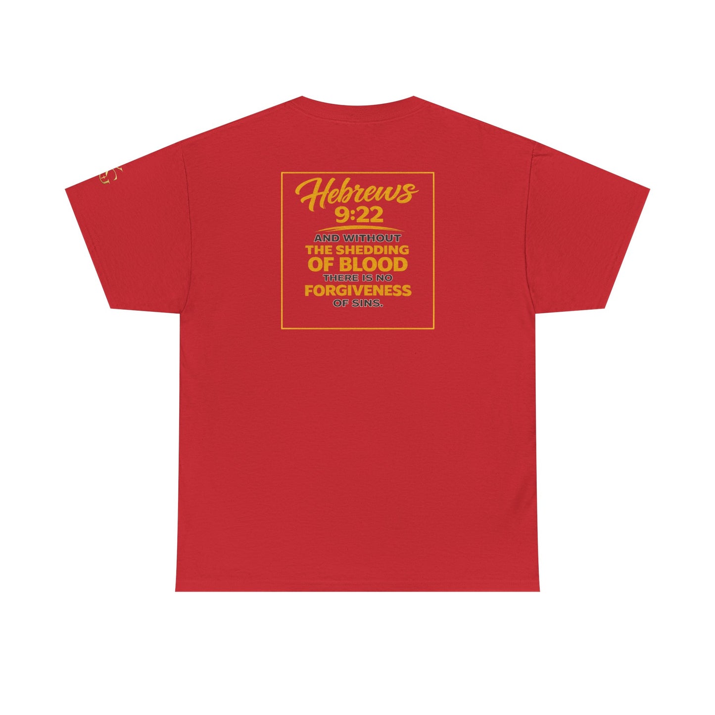 Christian T-Shirt — "Only the Blood of Jesus Can Save" with Hebrews 9:22 Scripture Tee